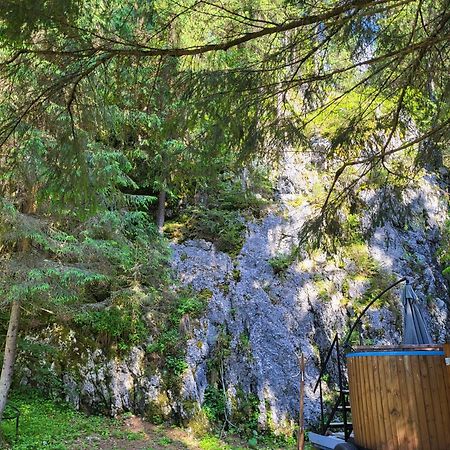 Pension Cabana Cetatile Ponorului Padis Exteriér fotografie