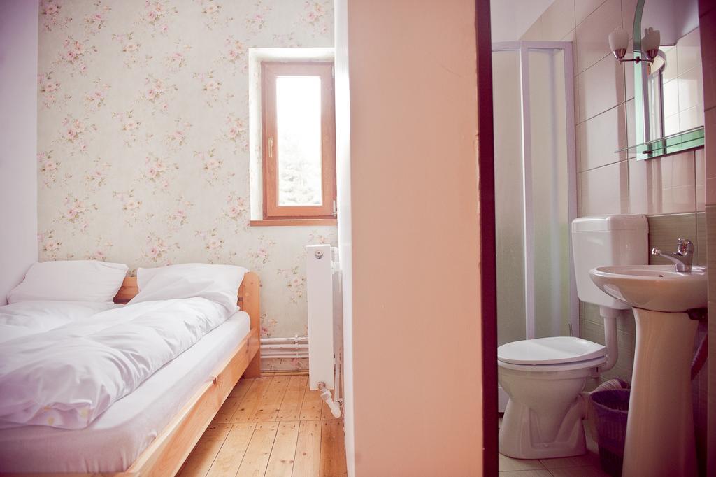 Pension Cabana Cetatile Ponorului Padis Pokoj fotografie