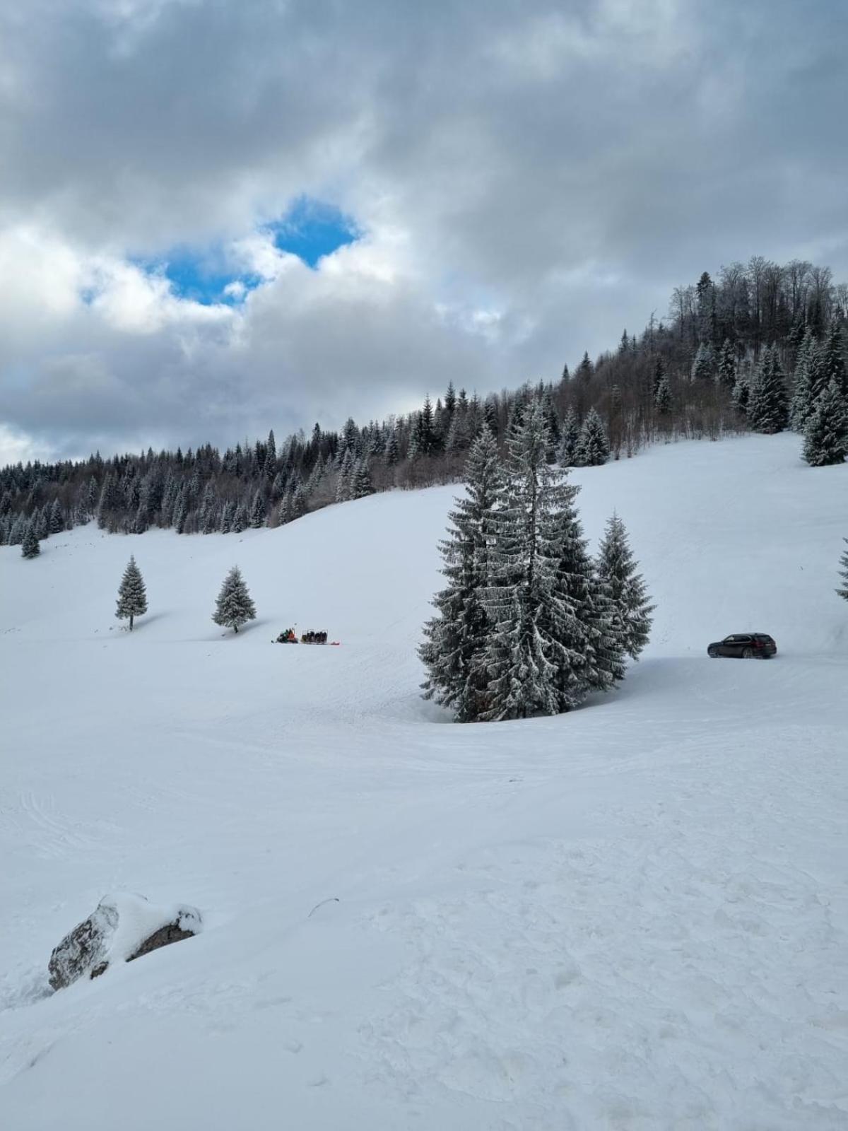 Pension Cabana Cetatile Ponorului Padis Exteriér fotografie