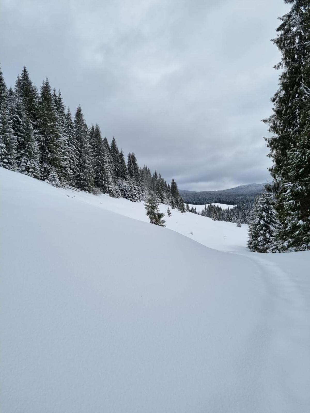 Pension Cabana Cetatile Ponorului Padis Exteriér fotografie
