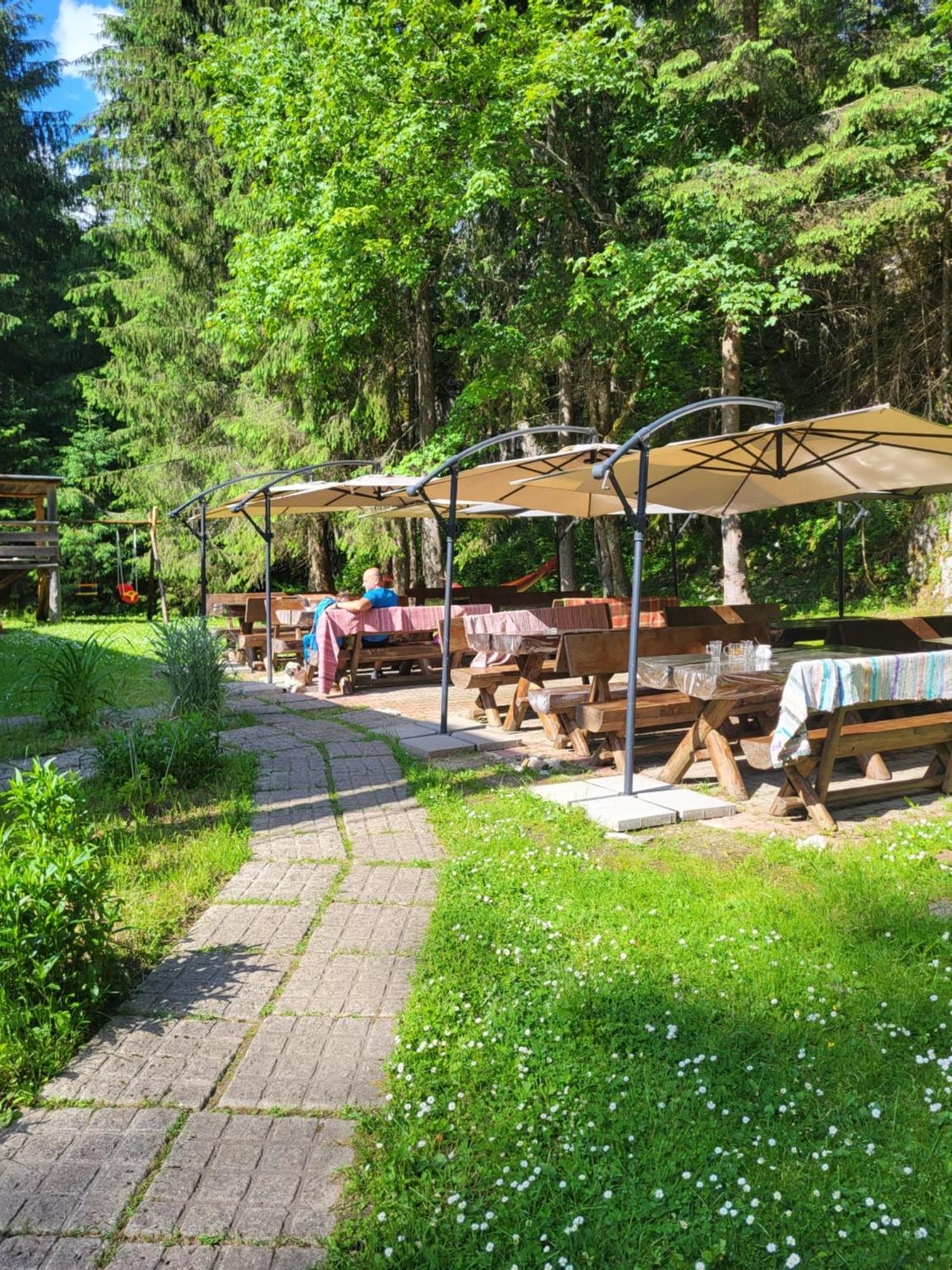 Pension Cabana Cetatile Ponorului Padis Exteriér fotografie