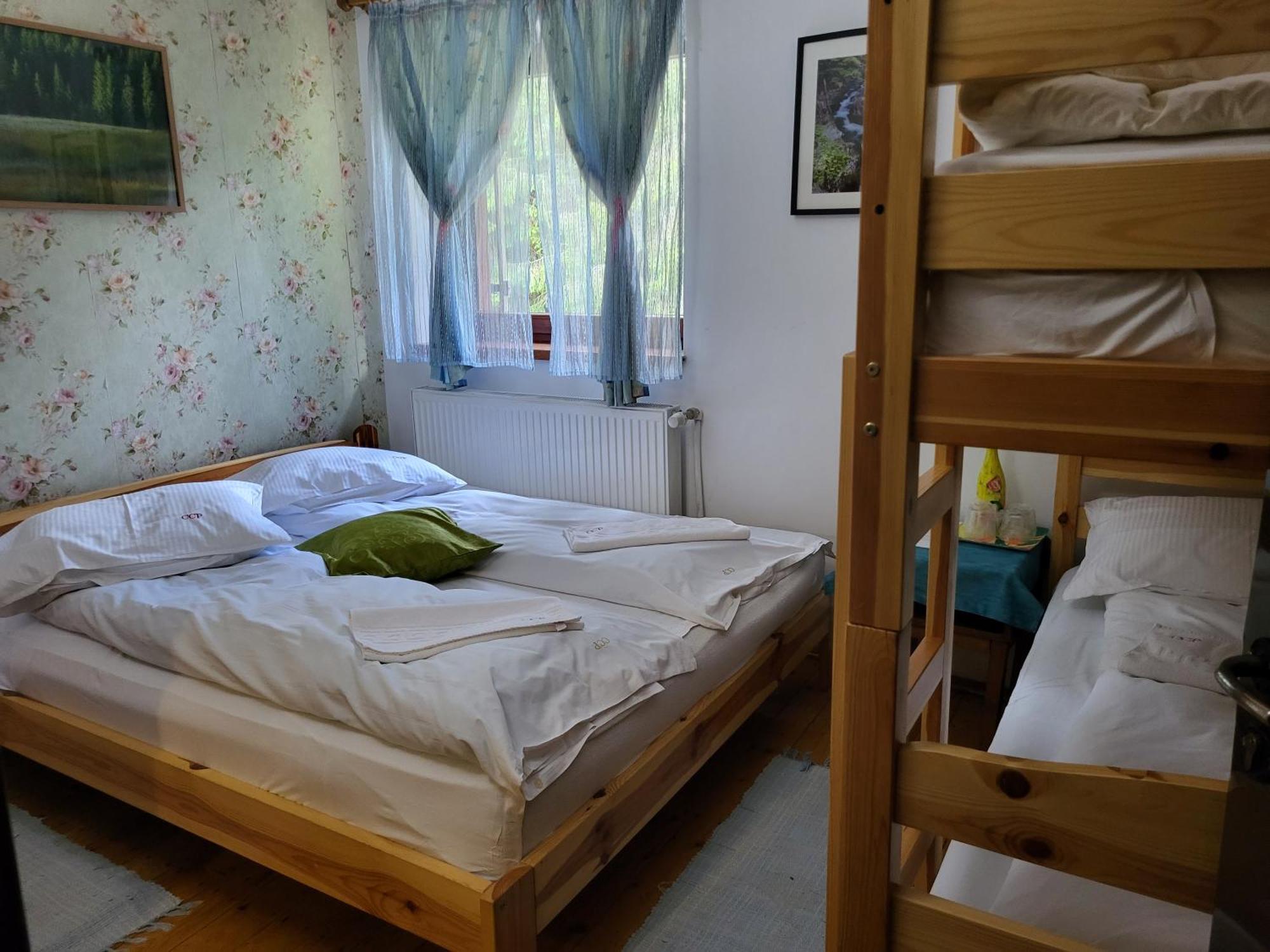 Pension Cabana Cetatile Ponorului Padis Exteriér fotografie