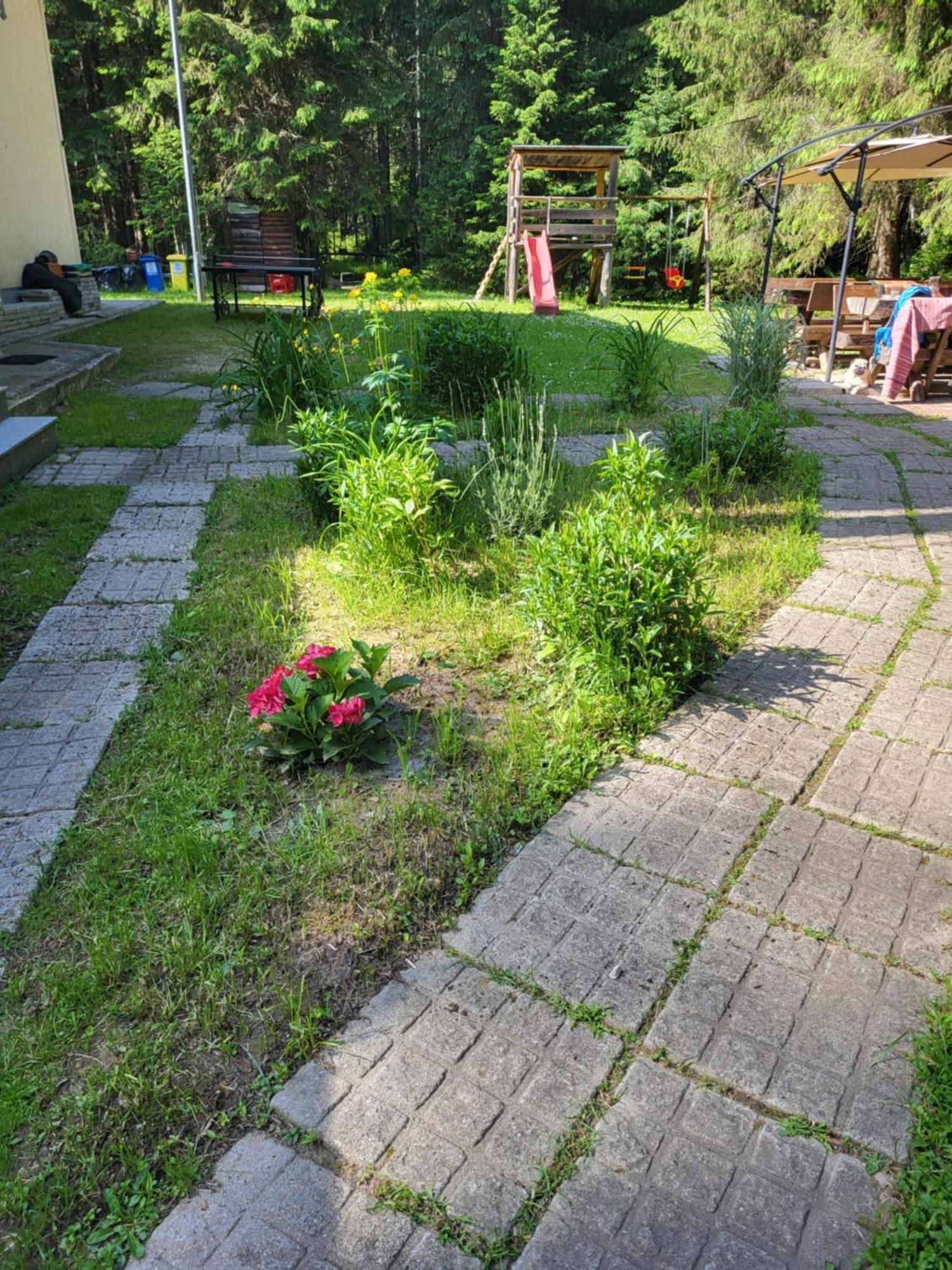 Pension Cabana Cetatile Ponorului Padis Exteriér fotografie