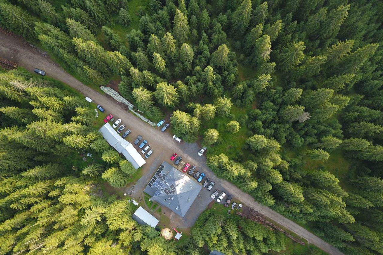 Pension Cabana Cetatile Ponorului Padis Exteriér fotografie