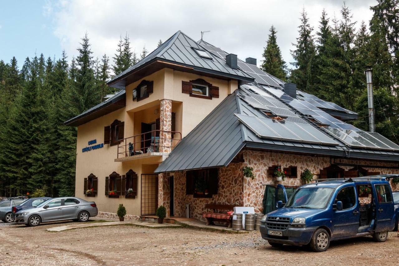 Pension Cabana Cetatile Ponorului Padis Exteriér fotografie
